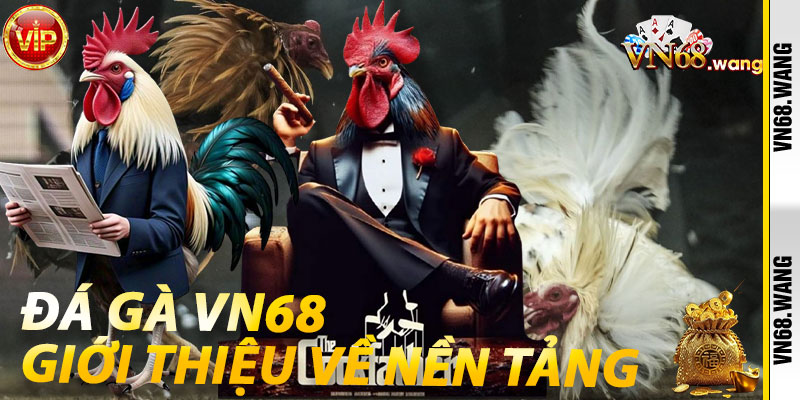 Đá Gà VN68: Giới thiệu về nền tảng