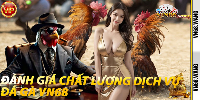 Đánh giá chất lượng dịch vụ Đá Gà VN68